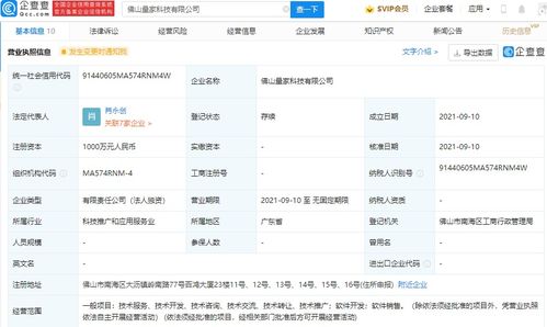 軟件開發與銷售 數字化時代的雙引擎驅動
